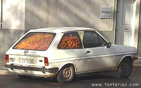 Transportando naranjas