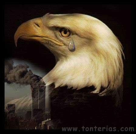 Aguila llorando