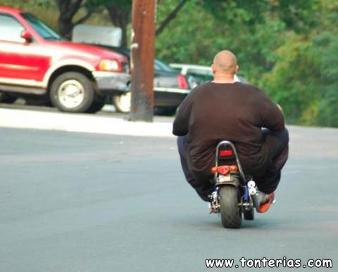 Gordo en moto