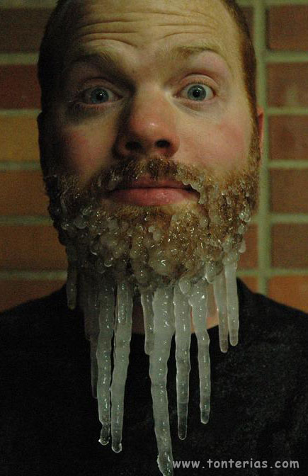 Barba congelada