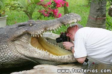 Fotógrafo de cocodrilos