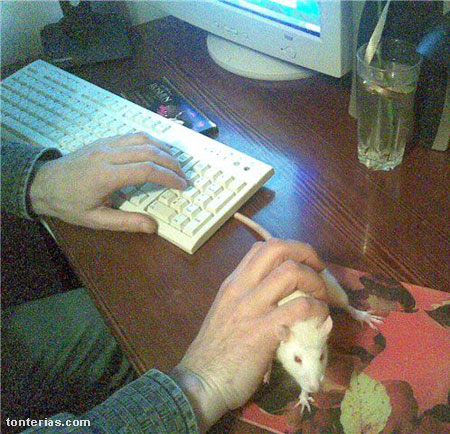 El autentico ratón informático