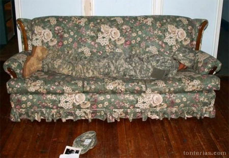 Militar camuflado en el sofa