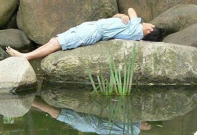 Chino durmiendo sobre roca