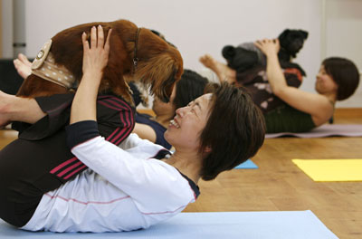 Yoga para perros