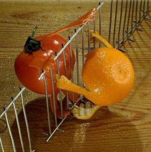 naranja pelada quiere escaparse con un tomate