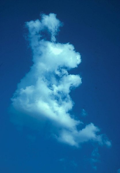 Nube en forma de conejo