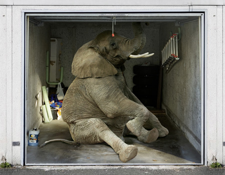 Foto gigante adhesiva para garaje con un elefante