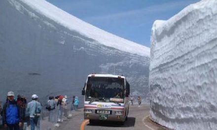 Autobus entre hielo
