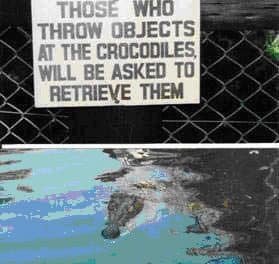 No dar de comer a los cocodrilos