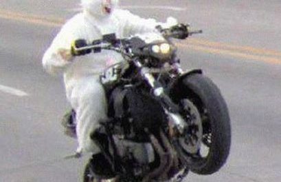 Conejo en moto