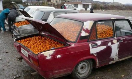 Mandarinas en el coche