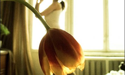 Traje de tulipan