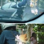 Perro en moto mochila espalda china