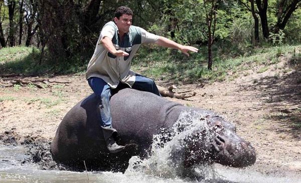 Amistad entre hipopótamo y hombre