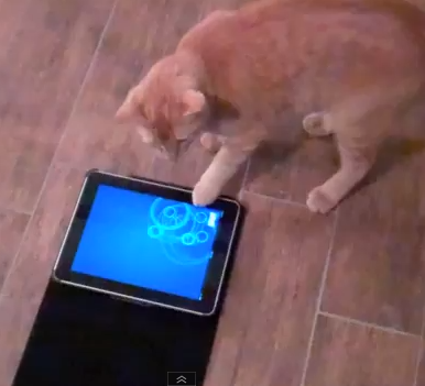 Juego de iPad para gatos