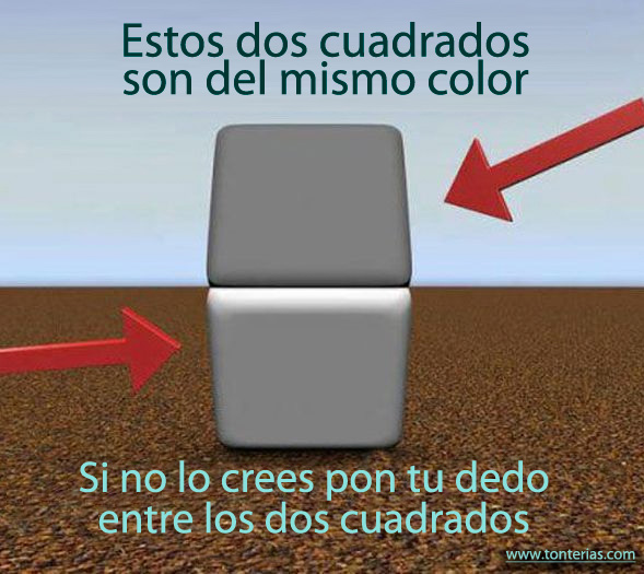 Estos dos cuadrados son del mismo color, aunque no lo creas.