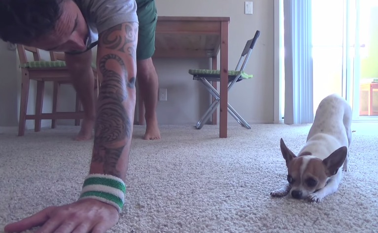 Haciendo yoga con tu perro